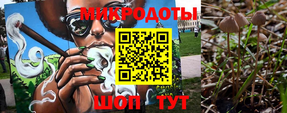 Балабаново  Псилоцибиновые грибы Psilocybine cubensis  Вход с VPN 