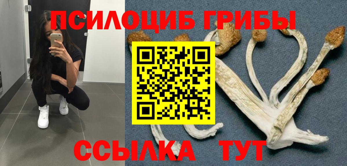 Галлюциногенные грибы Cubensis Балабаново