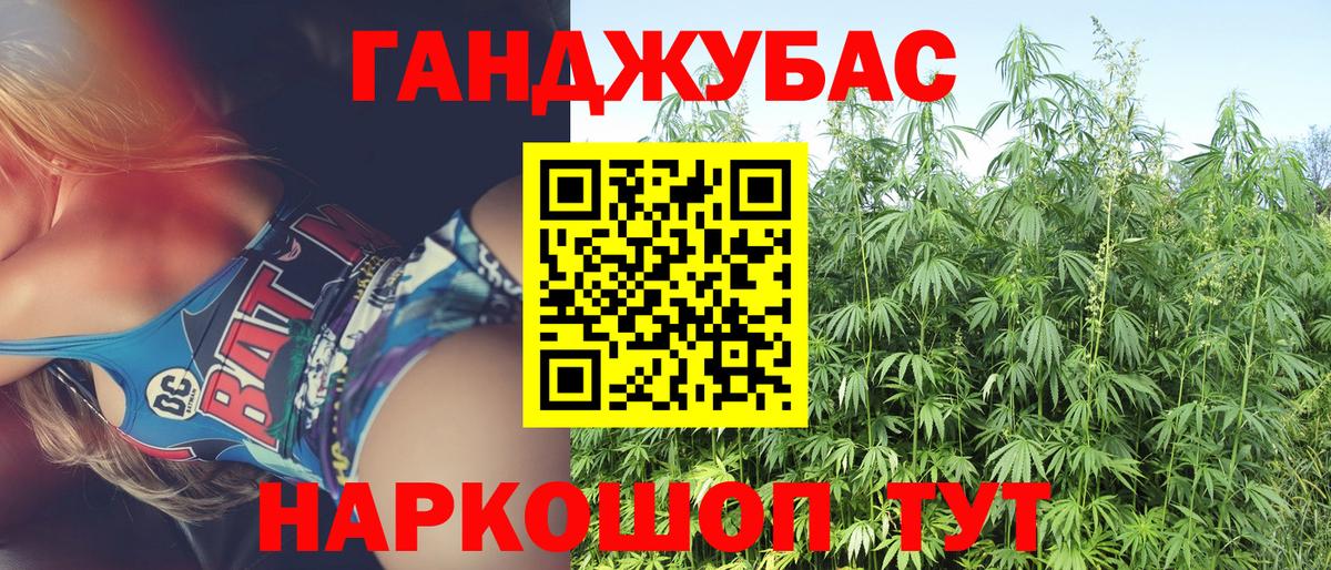 Каннабис OG Kush Балабаново